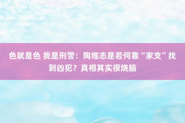 色就是色 我是刑警：陶维志是若何靠“家支”找到凶犯？真相其实很烧脑