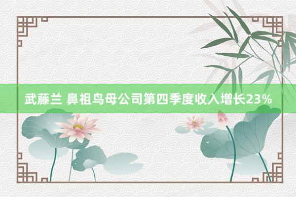 武藤兰 鼻祖鸟母公司第四季度收入增长23%