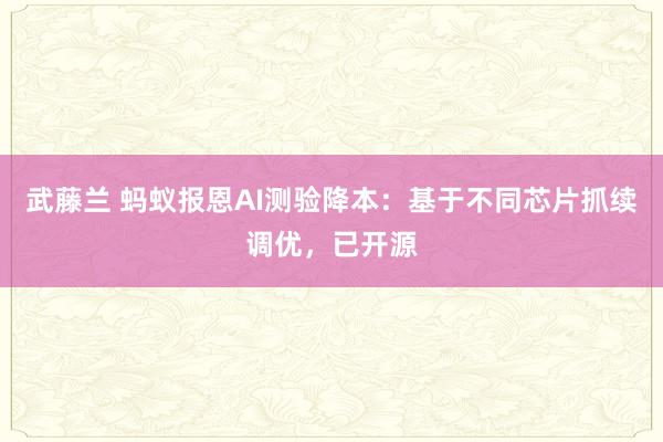武藤兰 蚂蚁报恩AI测验降本：基于不同芯片抓续调优，已开源