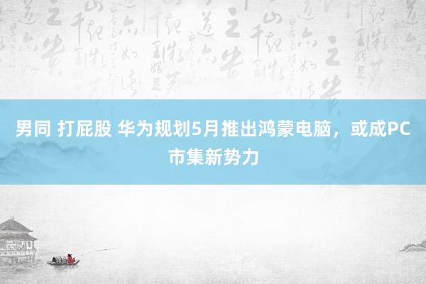 男同 打屁股 华为规划5月推出鸿蒙电脑，或成PC市集新势力