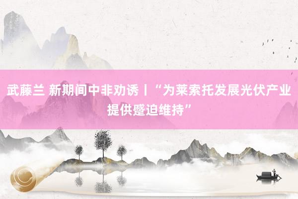 武藤兰 新期间中非劝诱丨“为莱索托发展光伏产业提供蹙迫维持”