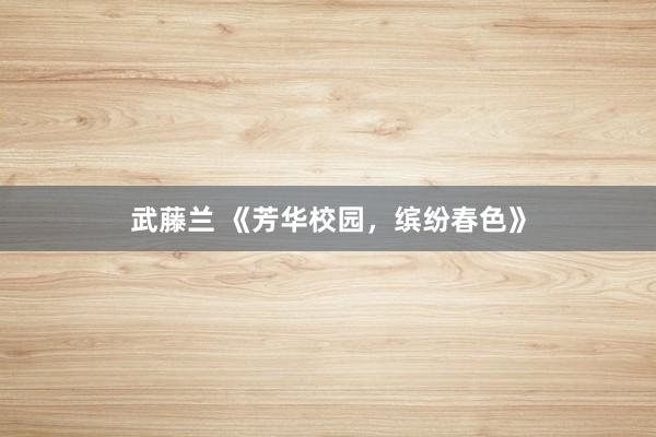 武藤兰 《芳华校园，缤纷春色》