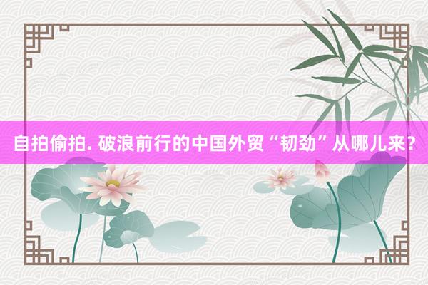 自拍偷拍. 破浪前行的中国外贸“韧劲”从哪儿来？