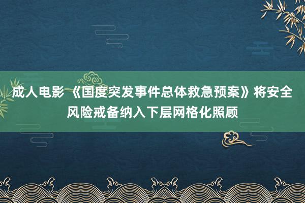 成人电影 《国度突发事件总体救急预案》将安全风险戒备纳入下层网格化照顾