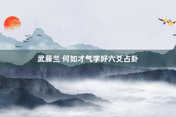 武藤兰 何如才气学好六爻占卦