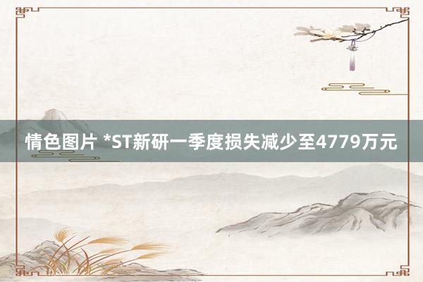 情色图片 *ST新研一季度损失减少至4779万元