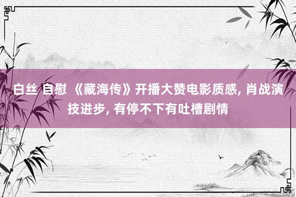 白丝 自慰 《藏海传》开播大赞电影质感， 肖战演技进步， 有停不下有吐槽剧情